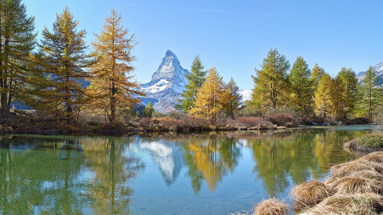 The Matterhorn reflected in the Grindjisee near Zermatt, framed by autumn larches