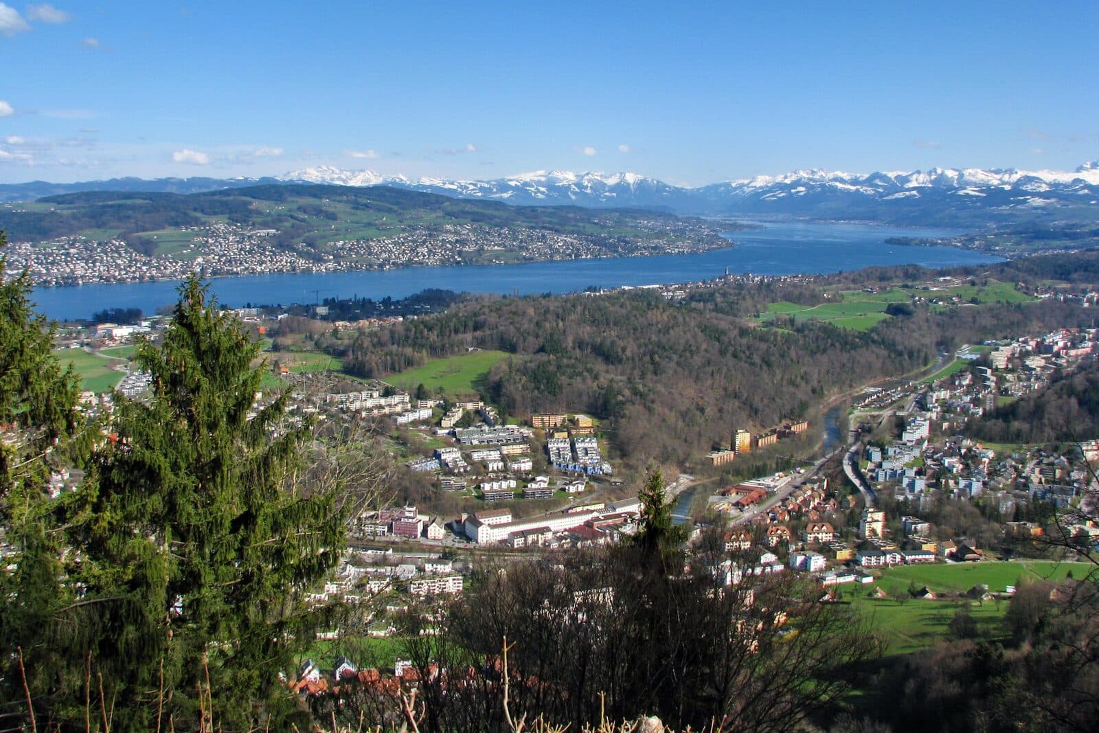 Lake Zurich and the Sihl valley seen from the Albis, with the Alps on the horizon