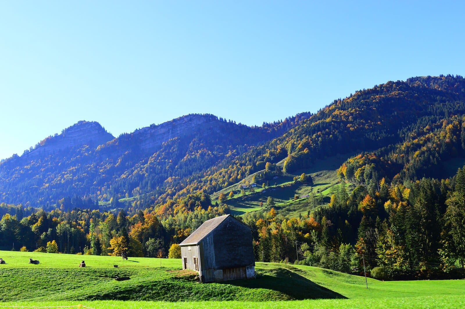 Wooded hills and pasture near Urnäsch in autumn, with a wooden barn
